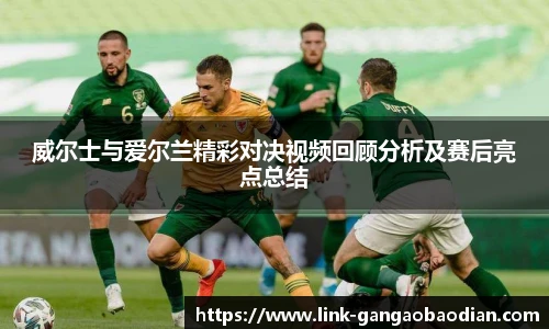 威尔士与爱尔兰精彩对决视频回顾分析及赛后亮点总结