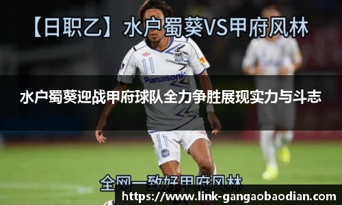 水户蜀葵迎战甲府球队全力争胜展现实力与斗志